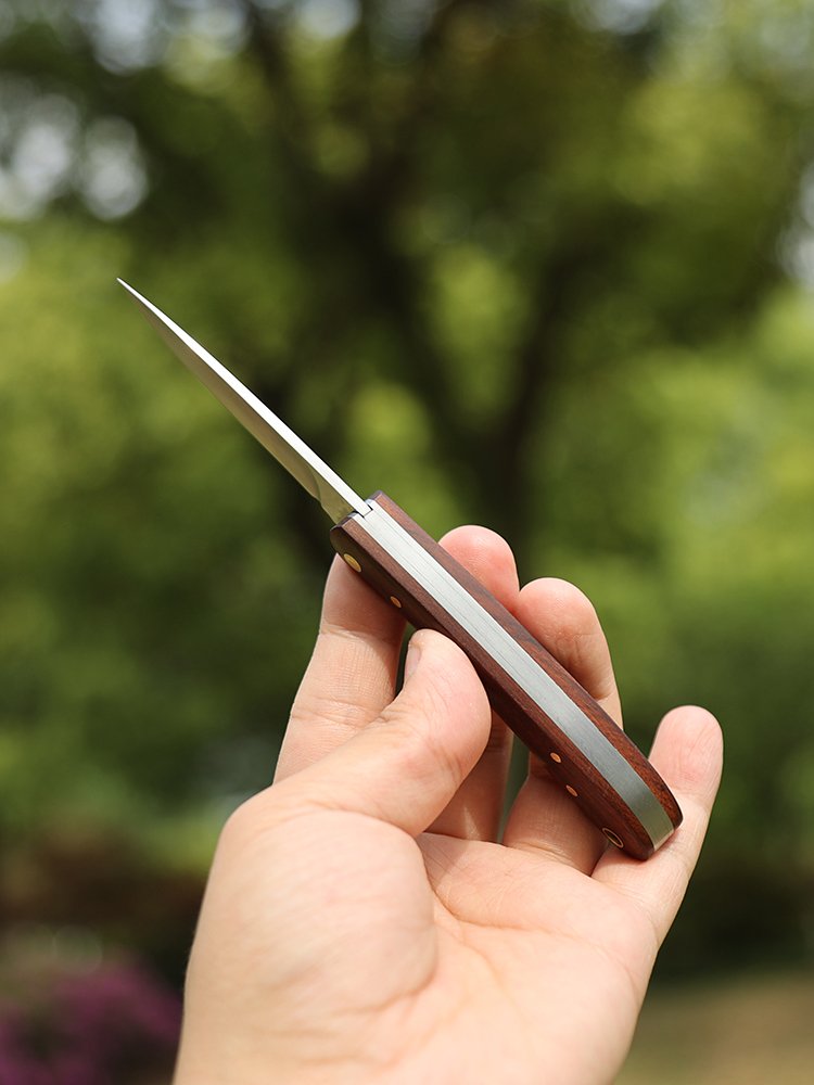 G & B, WITH A JAPANESE FRUIT KNIFE FOLDING WITH A PICNIC CAMPING WITH A RUSTY STEEL GUACAMOLE