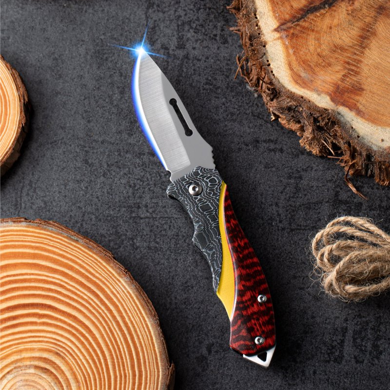 The stainless steel knife, the sharp, sharp folding knife, came with the fruit knife to the camp outside