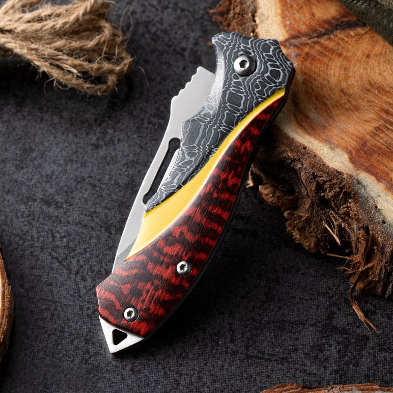 The stainless steel knife, the sharp, sharp folding knife, came with the fruit knife to the camp outside