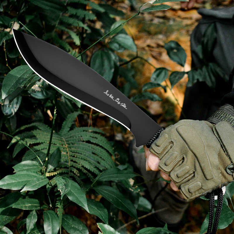 A multi-purpose field camper with a small knife and a high-string family fruit knife