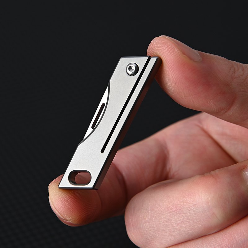 THE TITANIUM ALLOY KEY TO THE MINI-CHIP, AND THE DELIVERY VEHICLE D2 IS SHARP