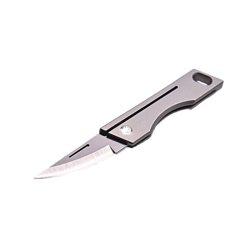 THE TITANIUM ALLOY KEY TO THE MINI-CHIP, AND THE DELIVERY VEHICLE D2 IS SHARP