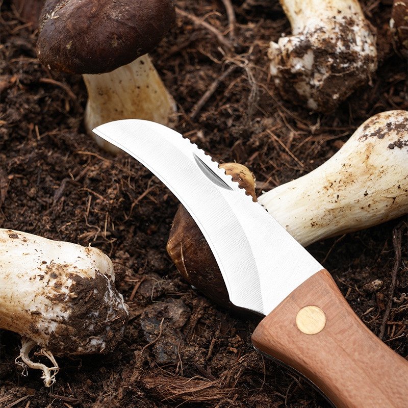Pear, mushroom knife camping knife with wooden handled knife multifunctionally folds a brush knife outside the house