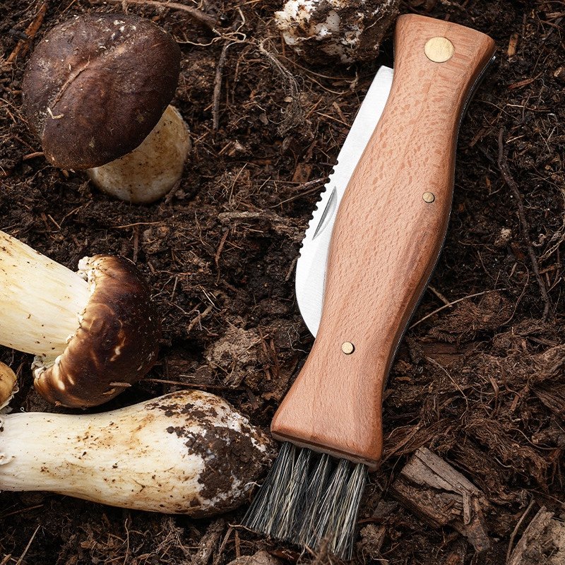 Pear, mushroom knife camping knife with wooden handled knife multifunctionally folds a brush knife outside the house