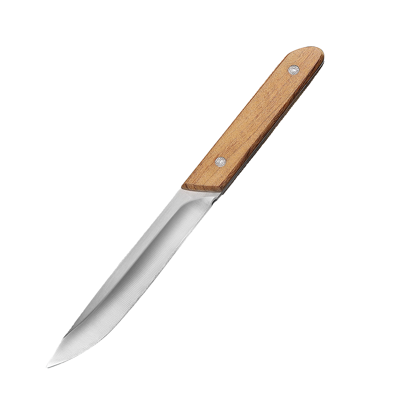 A multi-purpose fruit knife camping in the field, a roasting knife and a meat knife and a meat knife