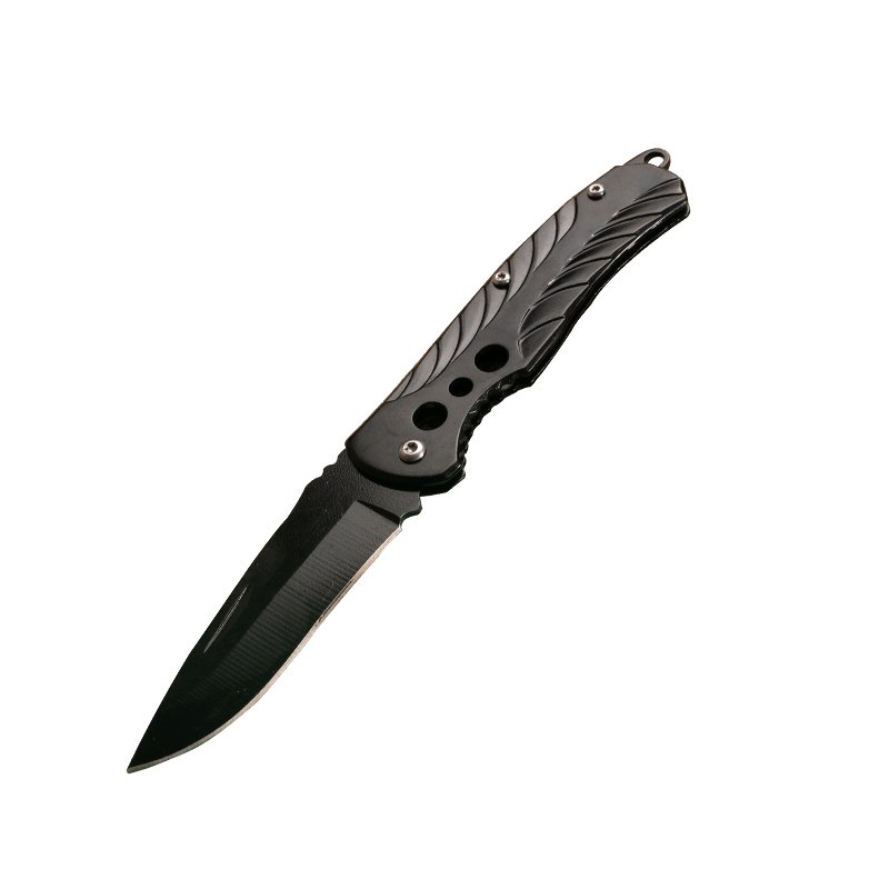 A legal outdoor knife comes with a fine folding knife, and a small field barbecue with a meat knife