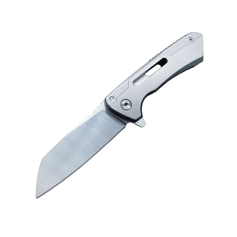 A FIELD CAMPING OF A FOLDING KNIFE WITH A SMALL D2 STEEL KNIFE FOR PROTECTION