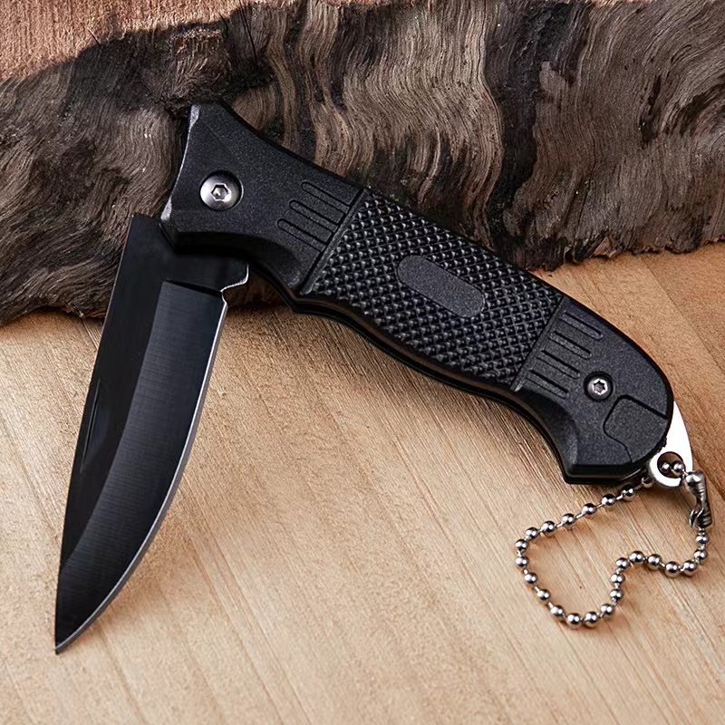 The mini-scissor outside the house with the scribbled blade and the Swiss Army knife with the key knife and the fruit knife