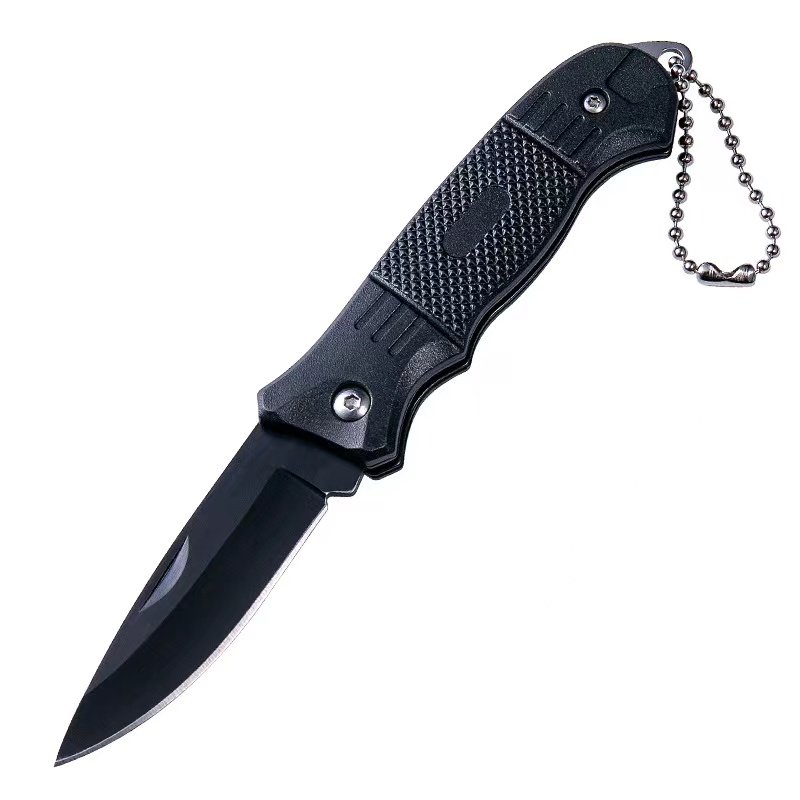 The mini-scissor outside the house with the scribbled blade and the Swiss Army knife with the key knife and the fruit knife