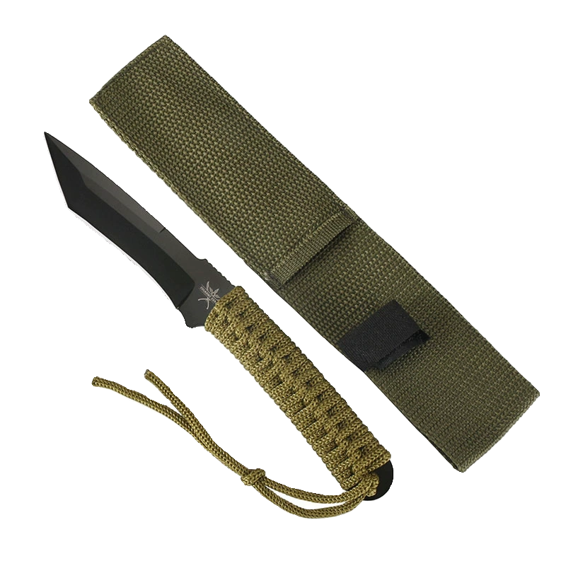 I'm going to put my hand in the field with a meat knife, and I'm going to use a stainless melon cutter