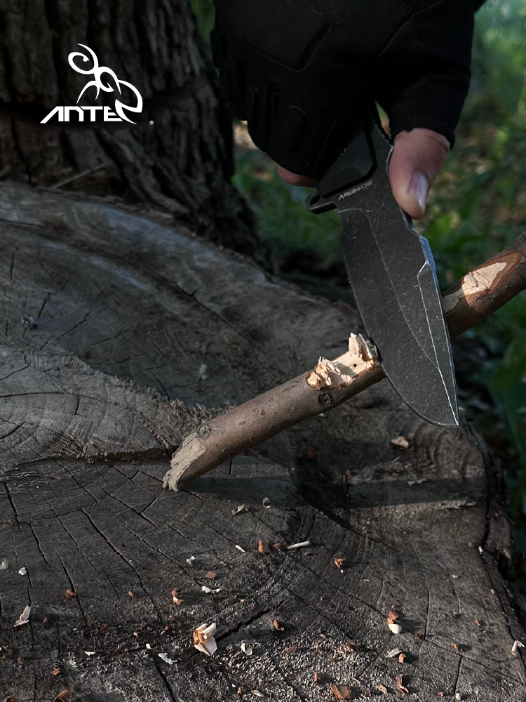 THE ANTE NIGHT WORM 1 MULTIPURPOSE SCRAMBLES WITH A HIGH-QUALITY CAMPER ON THE OUTSIDE