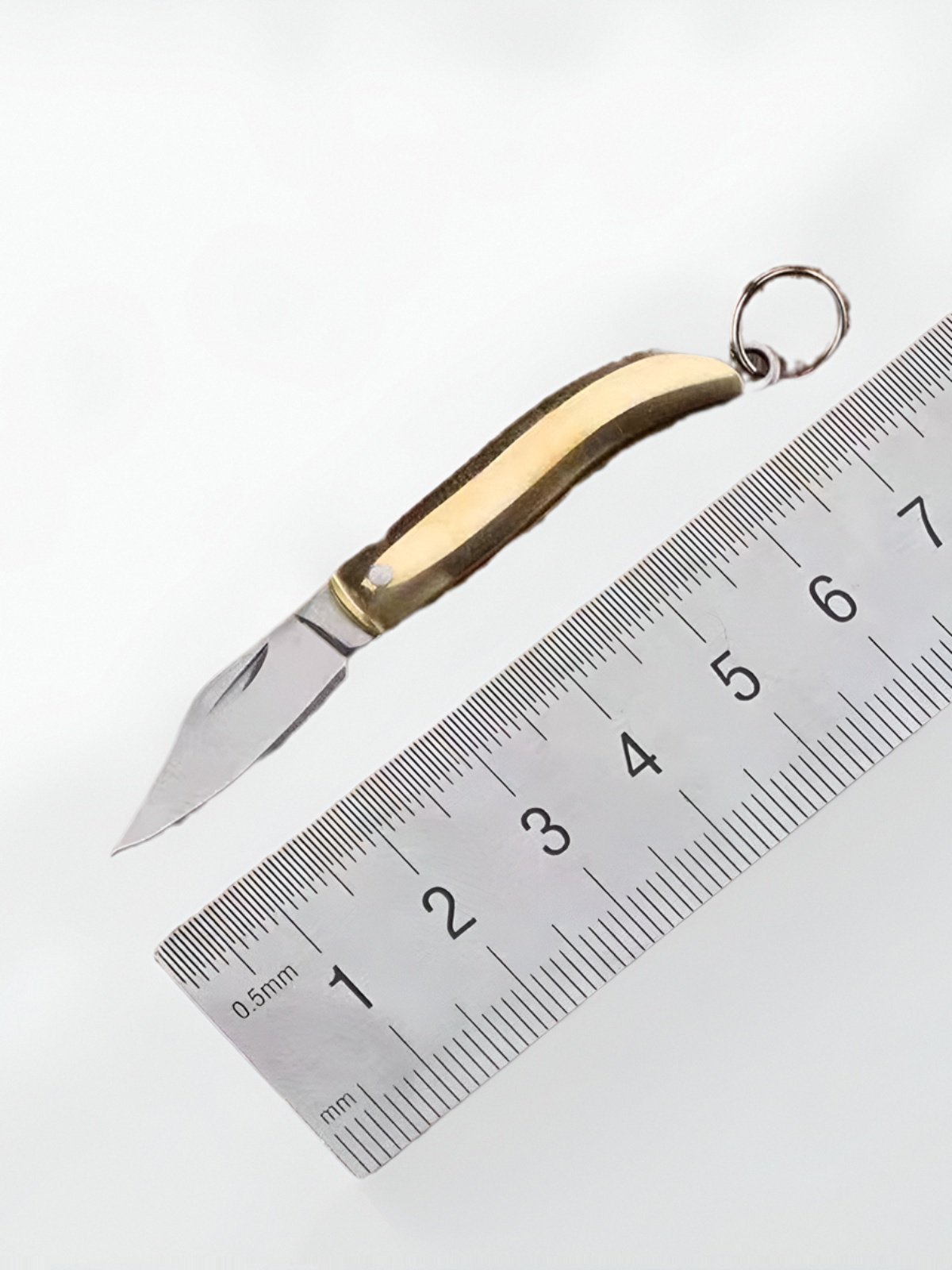 A mini knife with a broken delivery room with a folding knife to cut the fruit