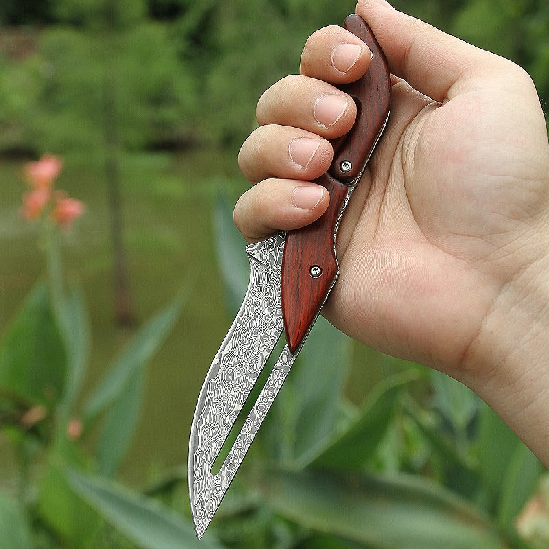 A mechanical folding knife, a high-intensity outdoor knife from Damascus, followed by a field knife and a fruit knife for a camping tool