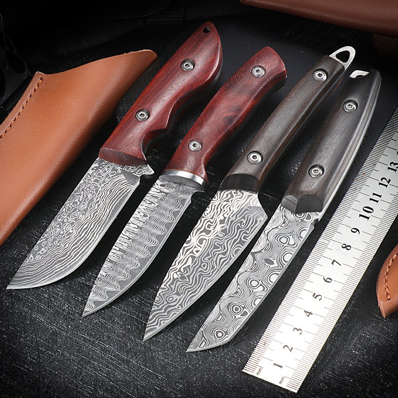 The mini-operate with the stainless steel-fruit knife camping in the field, cutting and eating. Beef knife