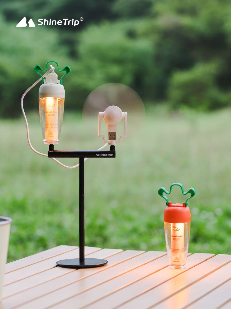 The camping radish lights are in the wild beyond the skylights of the tent