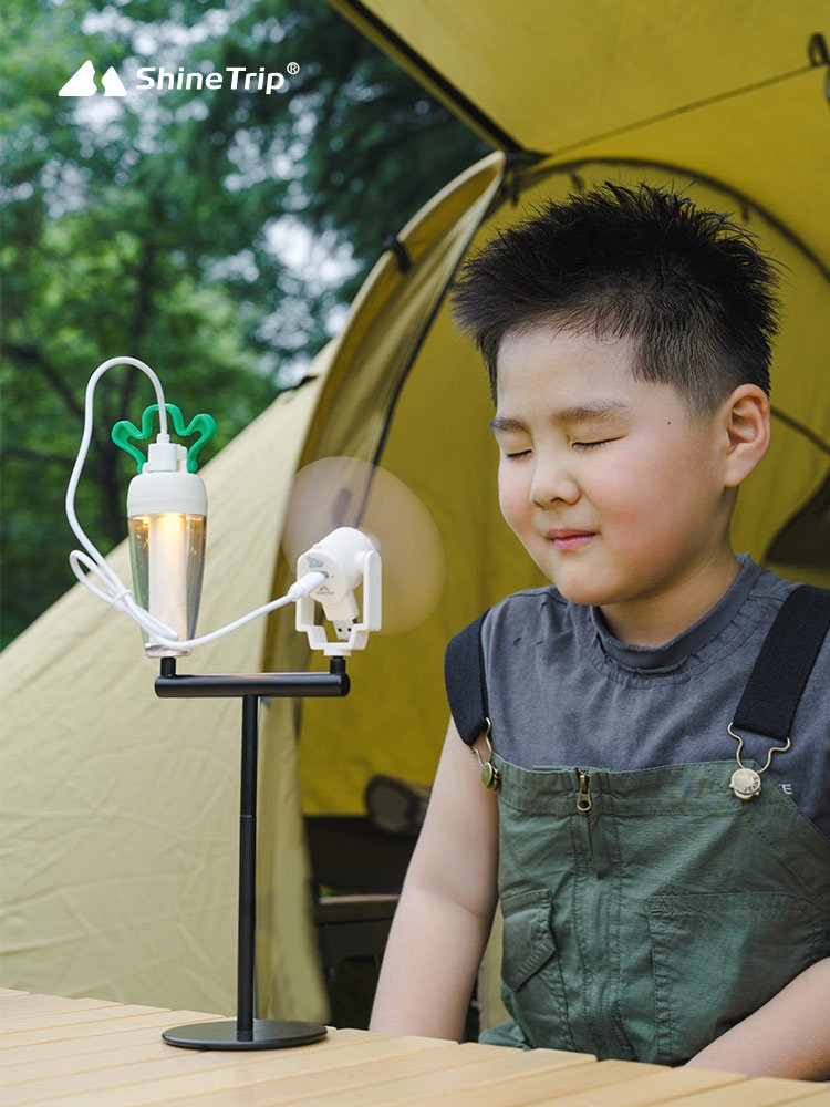 The camping radish lights are in the wild beyond the skylights of the tent