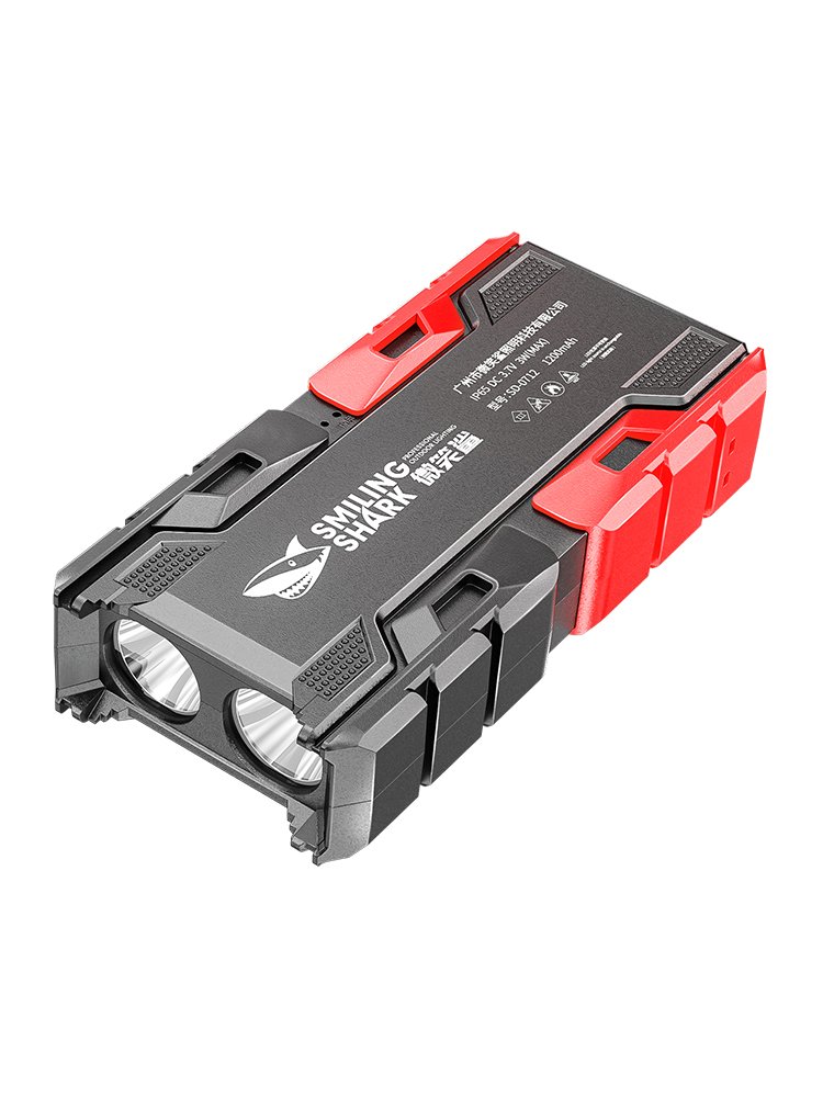 the flashlights are super-lighted, and the mini-lights are so long-lived, led