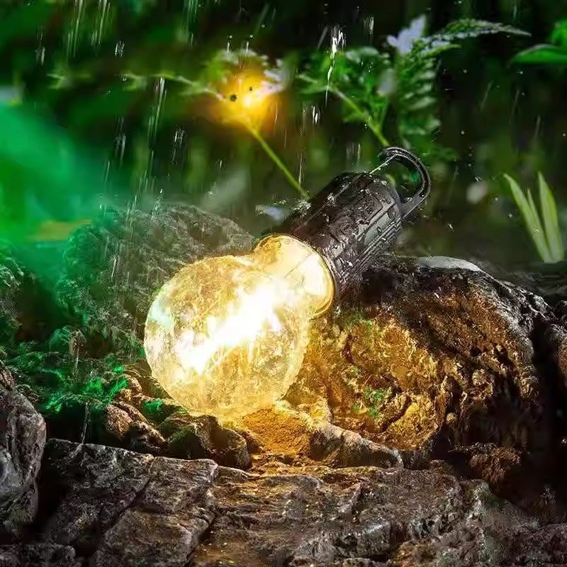 2024 new light bulbs, with no plug-in to charger ' s off-site plaque plating to camplights