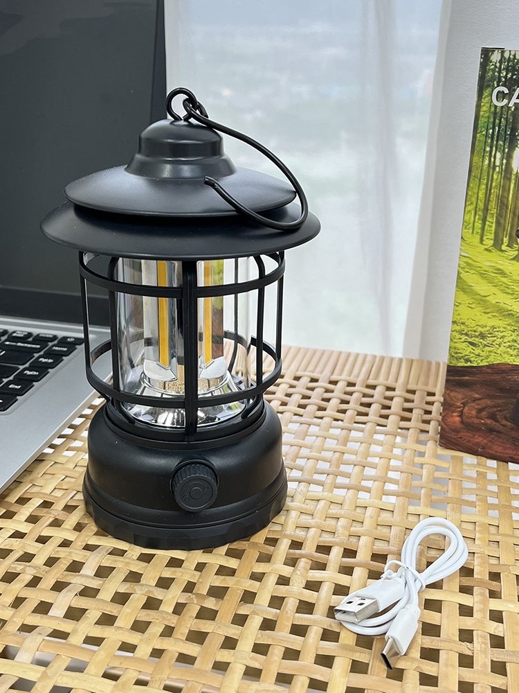 That's beautiful! Outdoor charging camplights to light the horselights