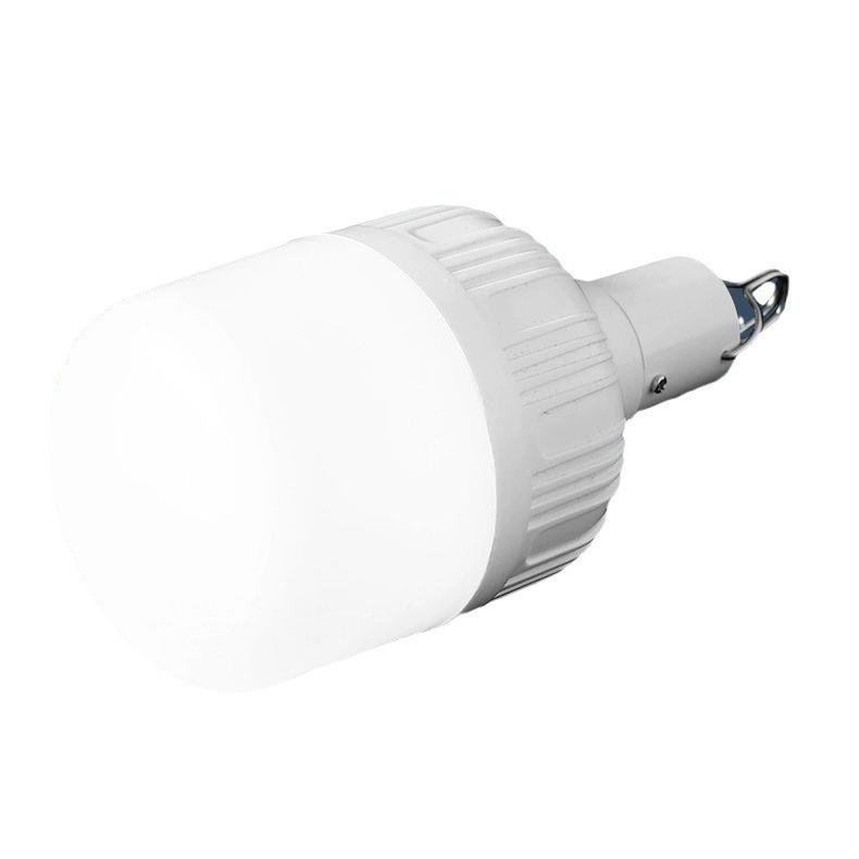 a light bulb dedicated to the larders of the pavilion of the night market