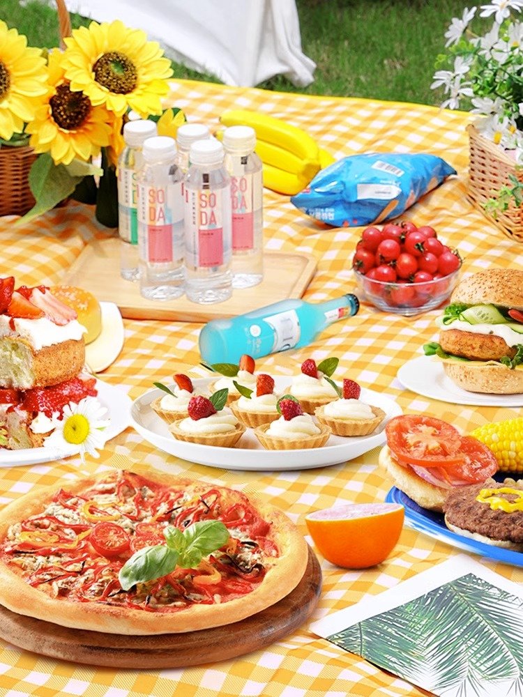 A picnic pad with a thick outdoor cooking camp camp tent and a water-grass mattress will take a field trip