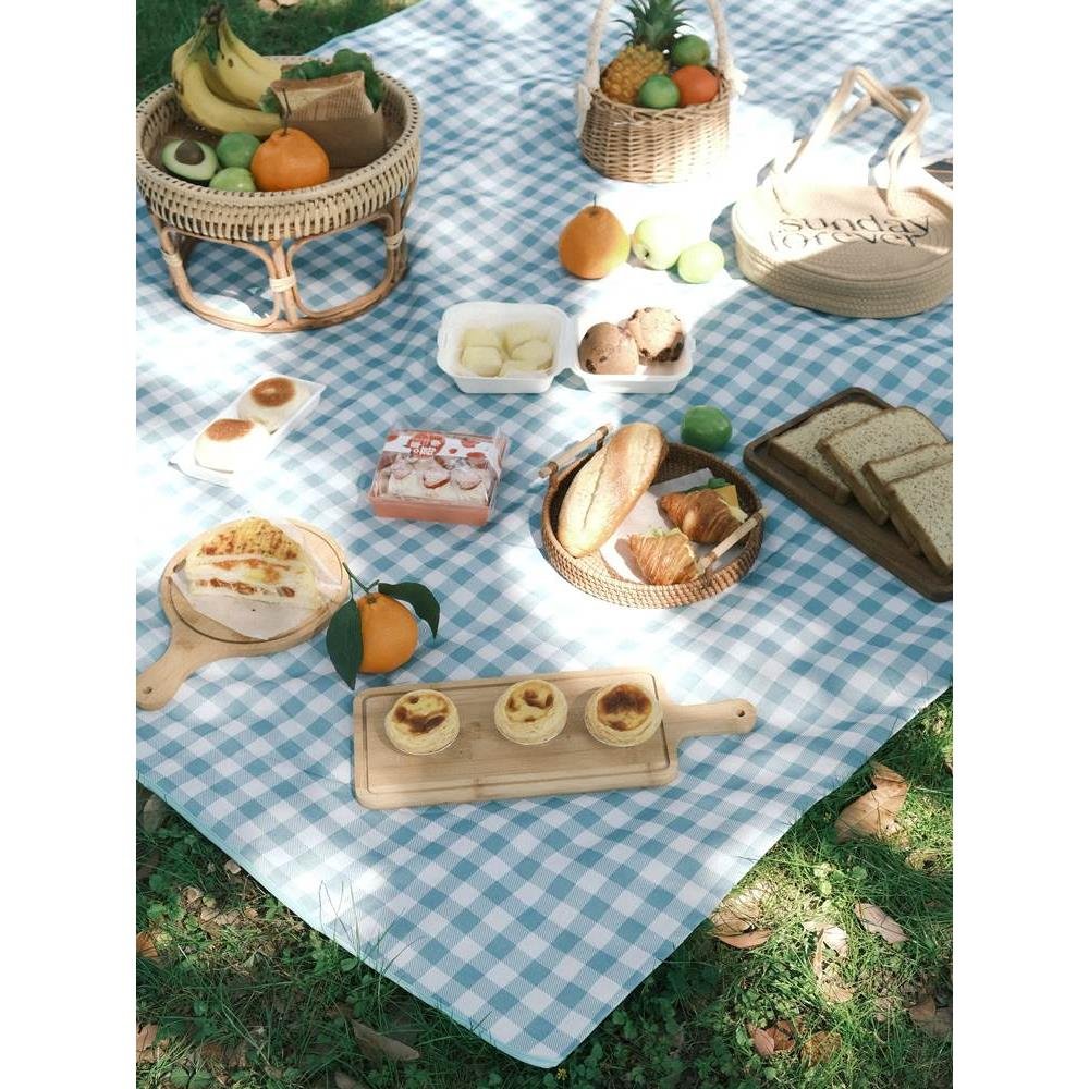 A picnic pad with a thick spring outdoor camping pad and a lawn and beach mattress with water-proof blue