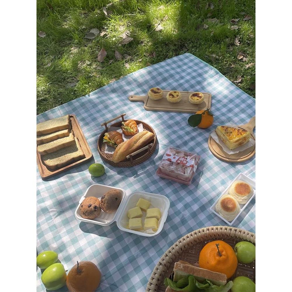 A picnic pad with a thick spring outdoor camping pad and a lawn and beach mattress with water-proof blue
