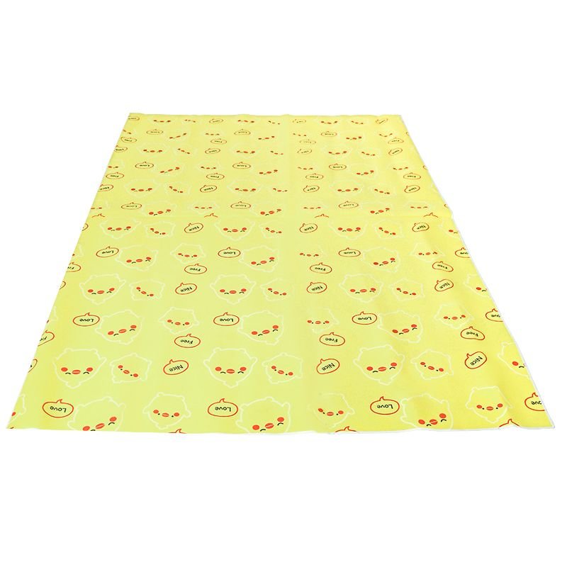the picnic pads, the wind and heat, go out to the camp beach tent, and the watery lawn