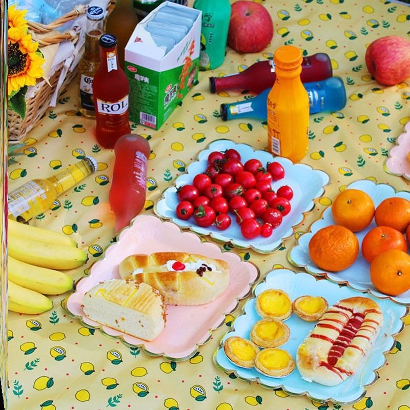 a picnic, a picnic, and a hot-tide outdoor camping and a big handing