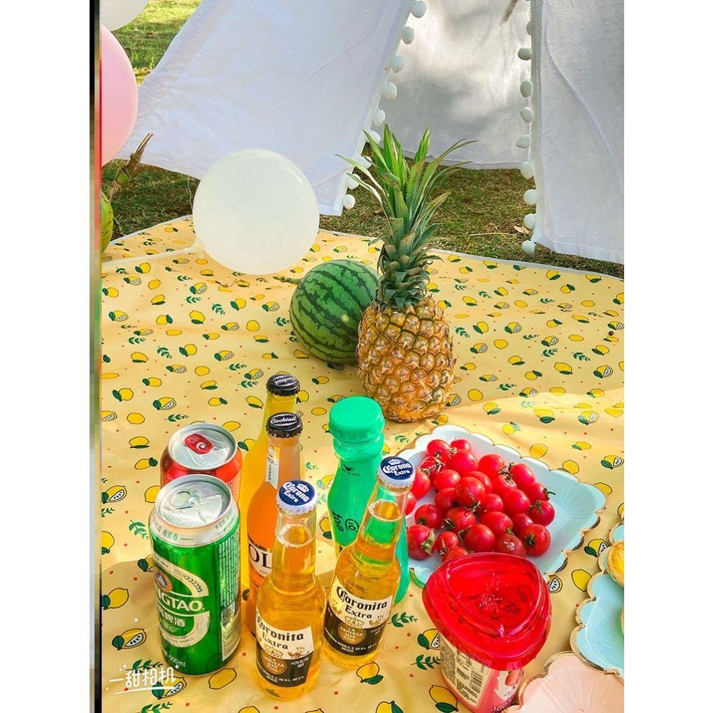 a picnic, a picnic, and a hot-tide outdoor camping and a big handing