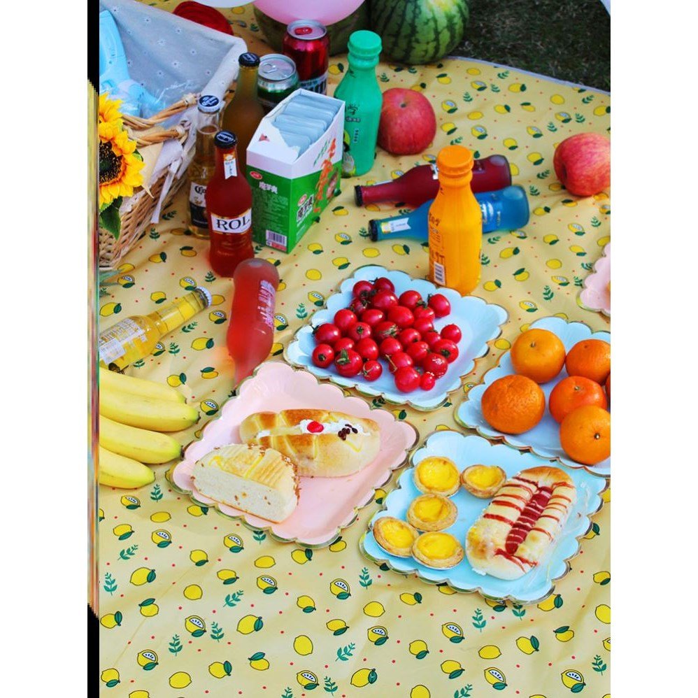 a picnic, a picnic, and a hot-tide outdoor camping and a big handing