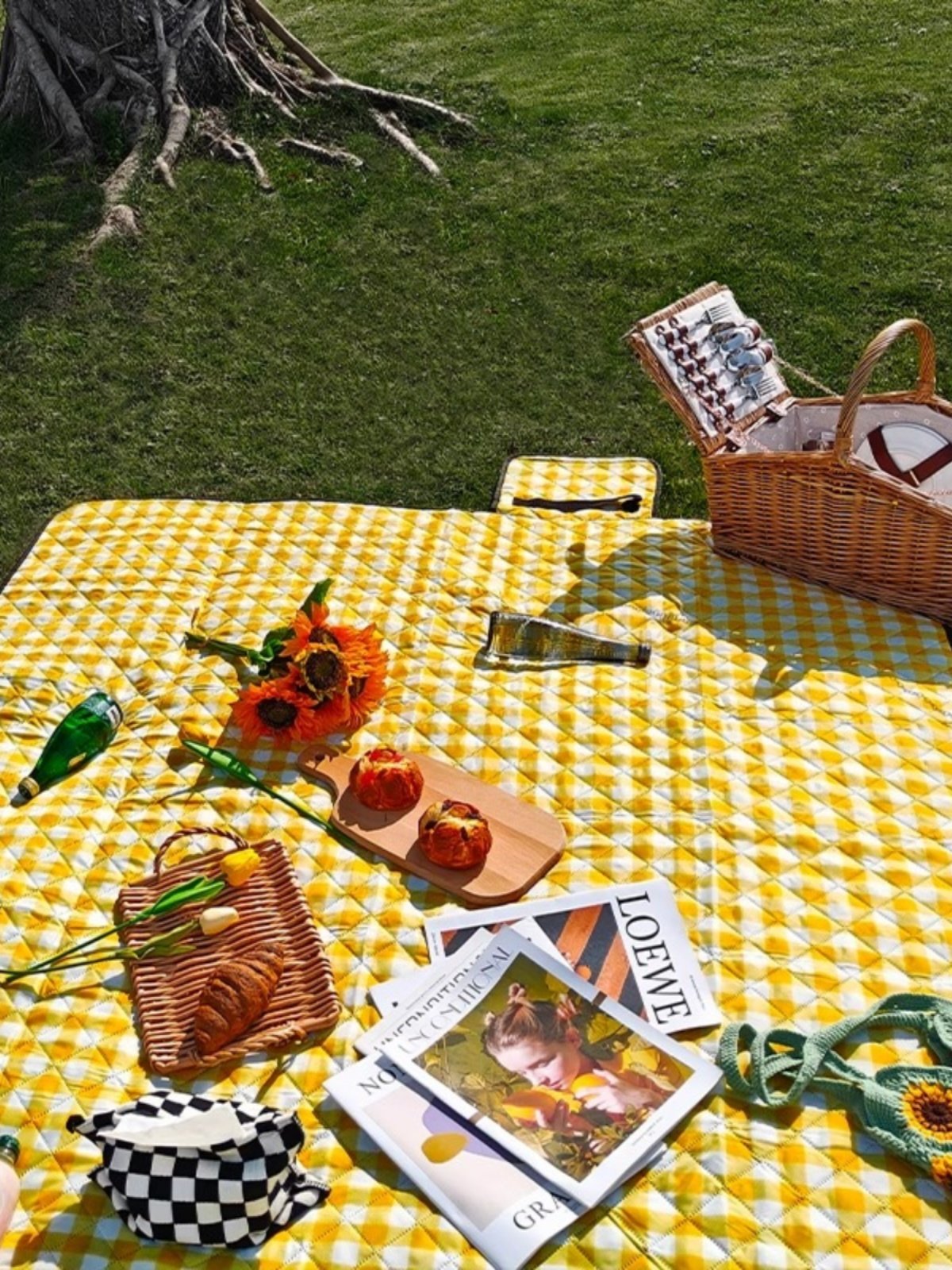 The outdoor camping picnic pads take pictures of red and white and thick grass floor pads for the spring, ultrasound-proof beach