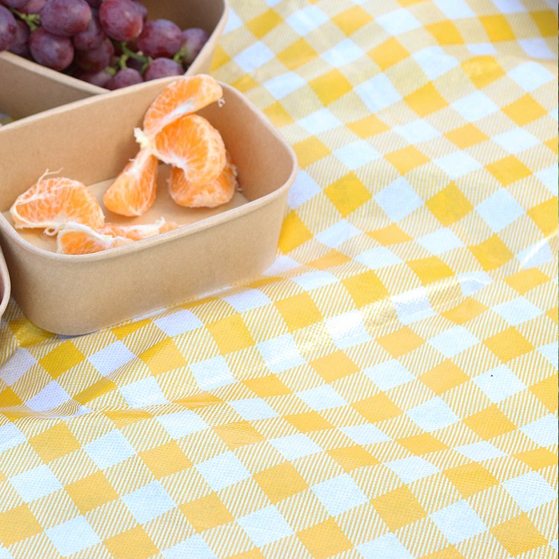 A picnic mat outside of the house and a picnic pad with three floors of picnic cloth and a thick camping pad for the tourist pad