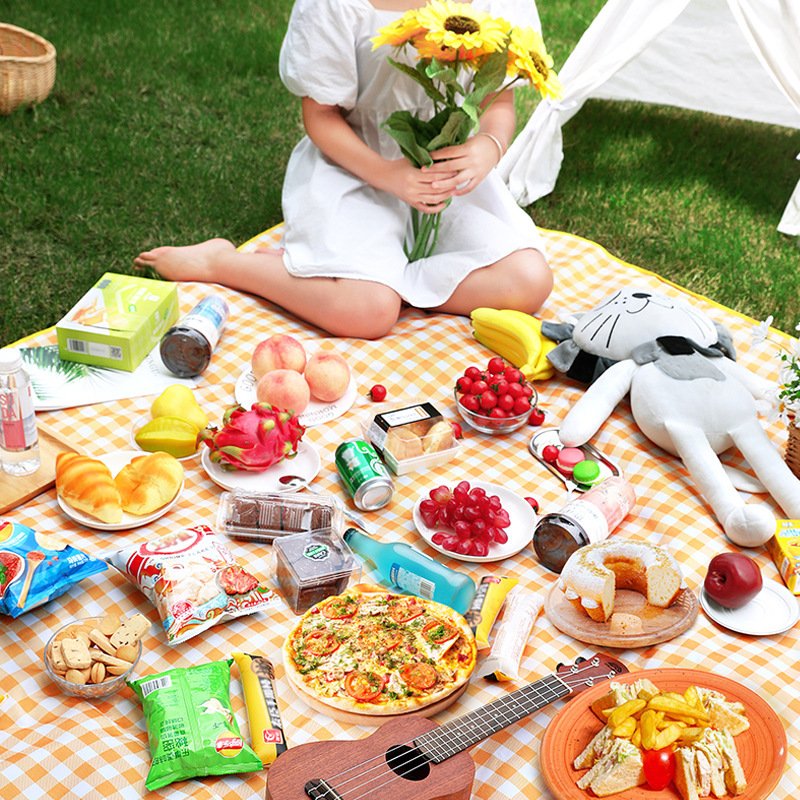 Spring outdoor picnic pads with damp naps and camp tents with beach picnic sheets