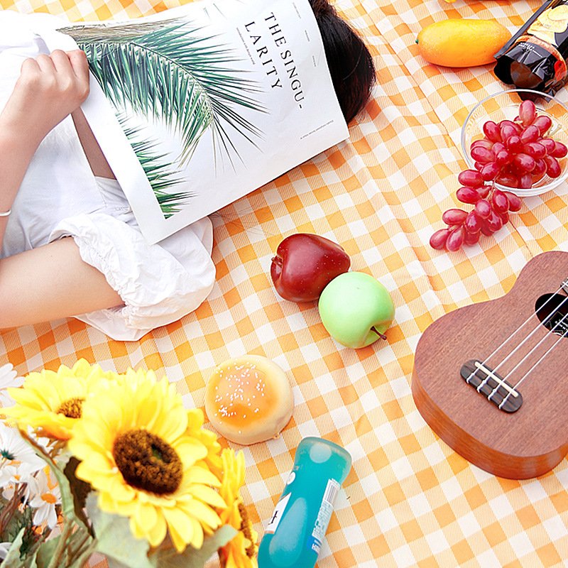 The picnic mats carry a spring-and-tide-proof tarpaulin with a thick peri-urban tarpaulin