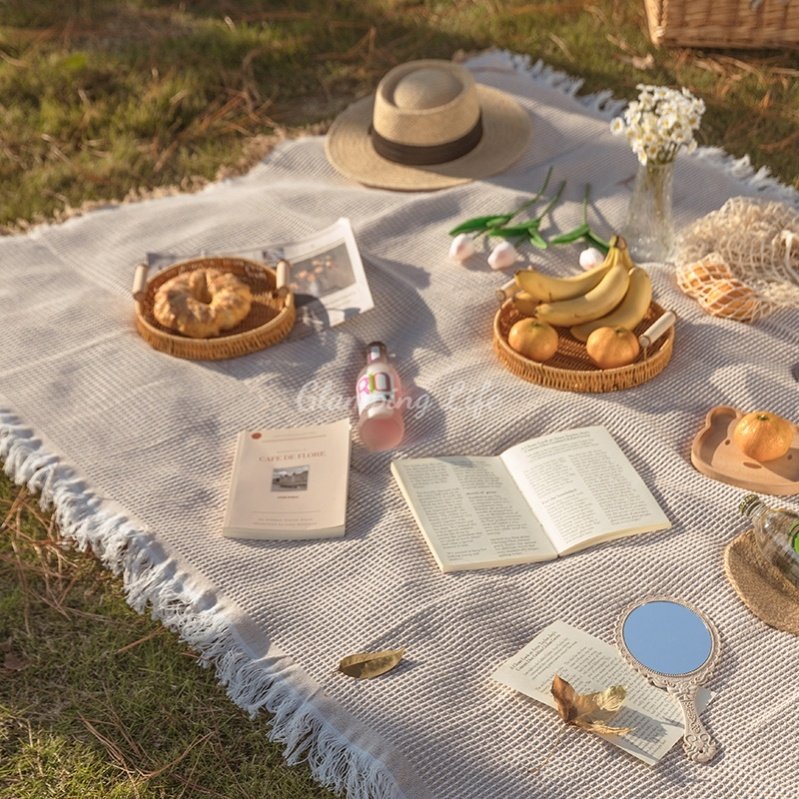 a picnic pad with a hot-wielding ins-spring picnic plaque and a beach mat