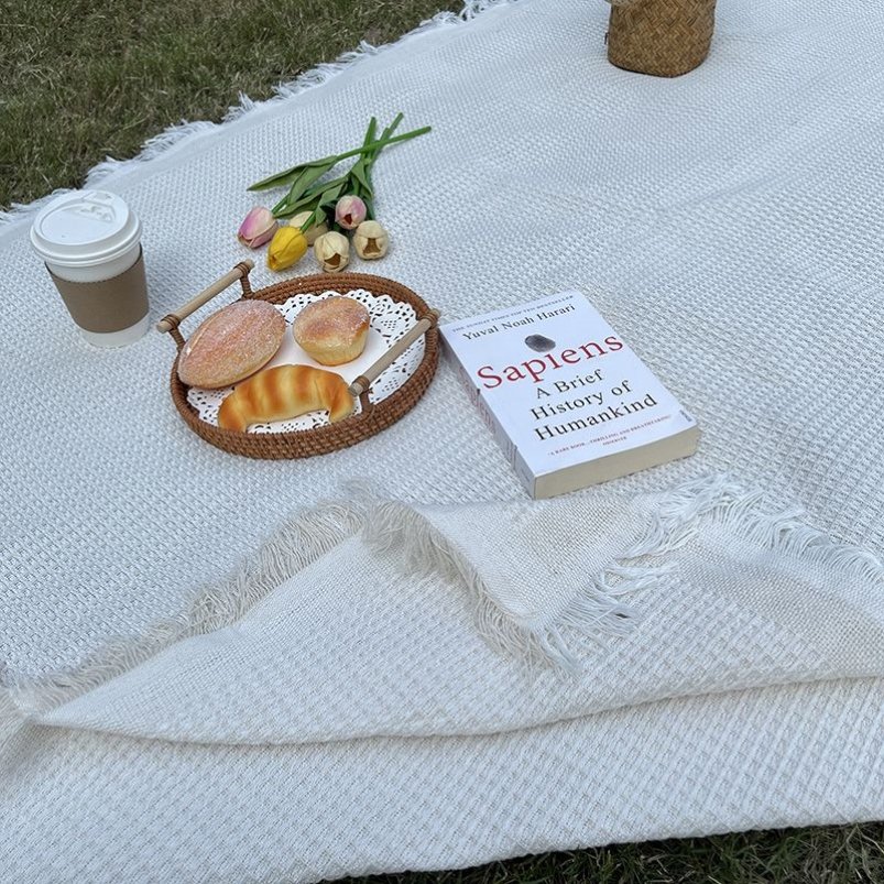 panic mats french arts and crafts, general and two-sided picnic tablecloths, red and photo mats