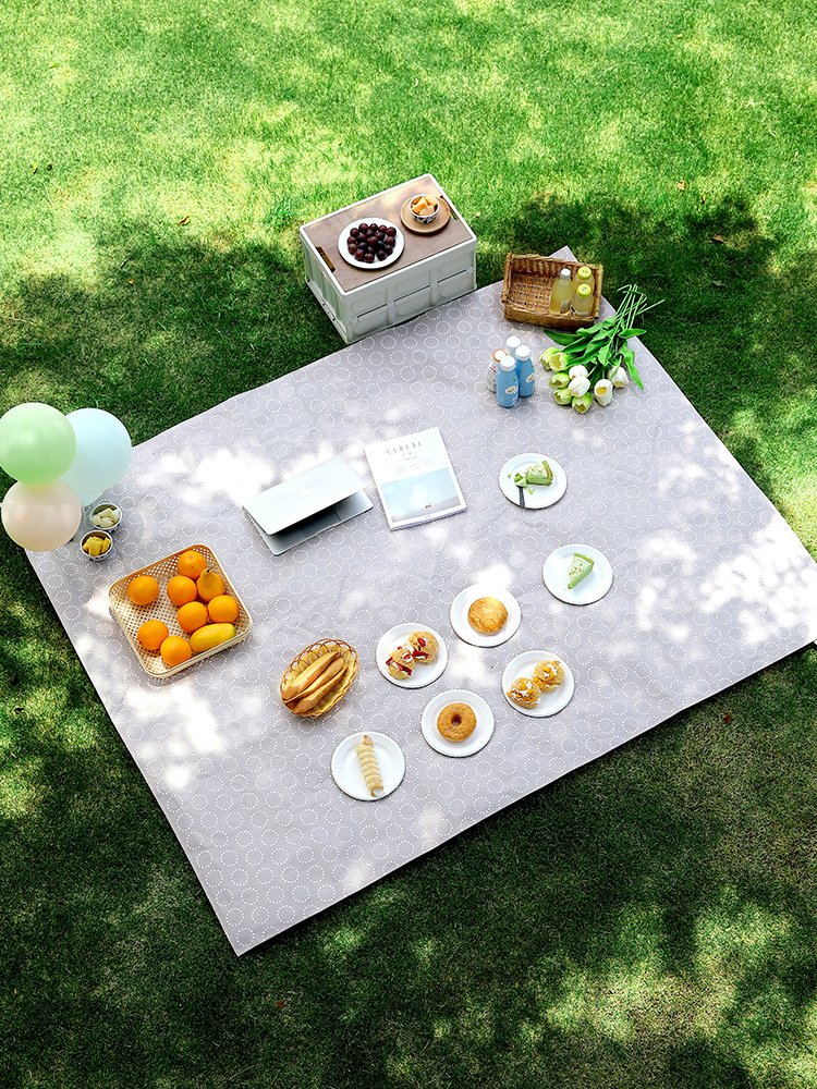 A picnic mat, a damp and grass-painted camp outside the park, carries a sand-paste