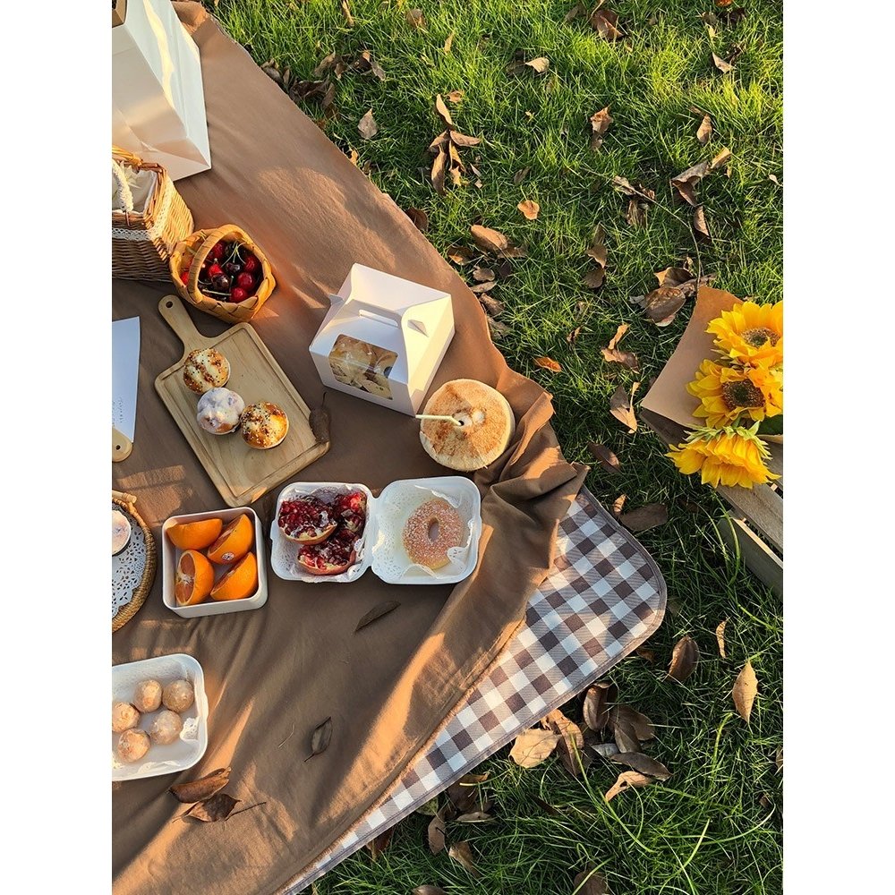 Dicanon's net picnic pads