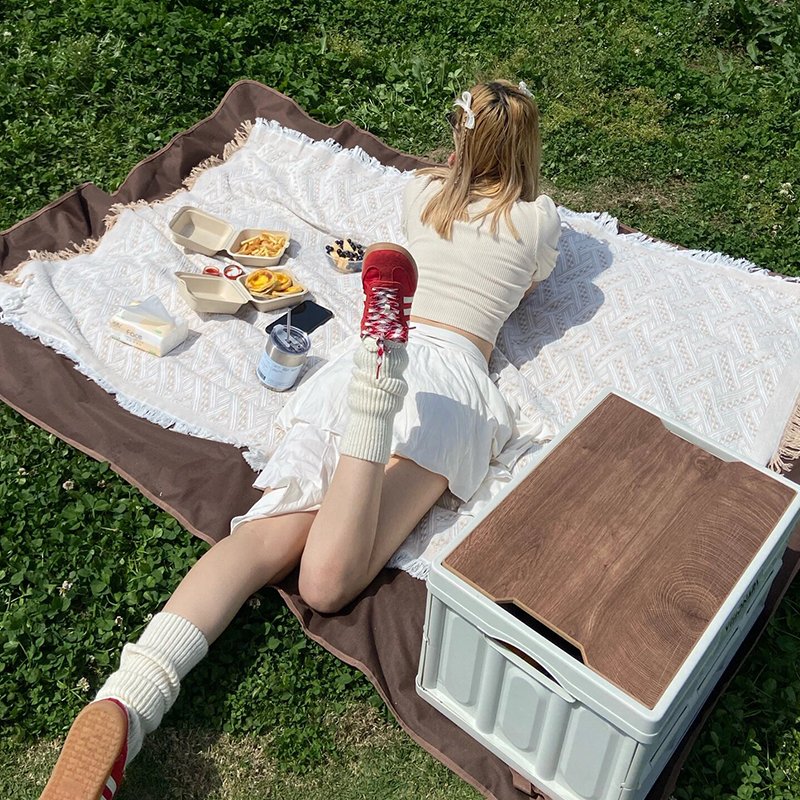 ins picnics with carpets with a thick field wind and tide-proof pads and a red blanket for the old field camping net