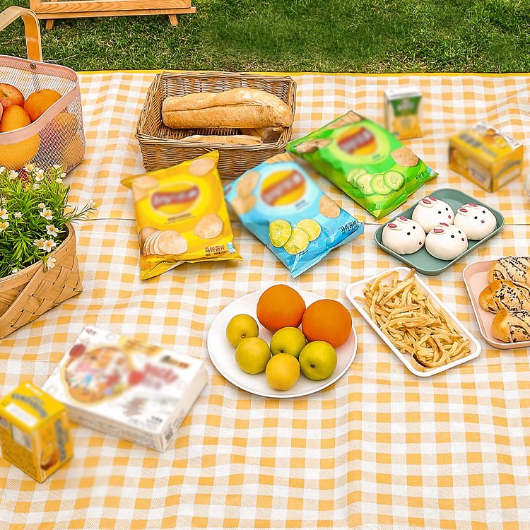 A picnic mat with a thick outdoor picnic kit can fold picnic sheets on a spring trip