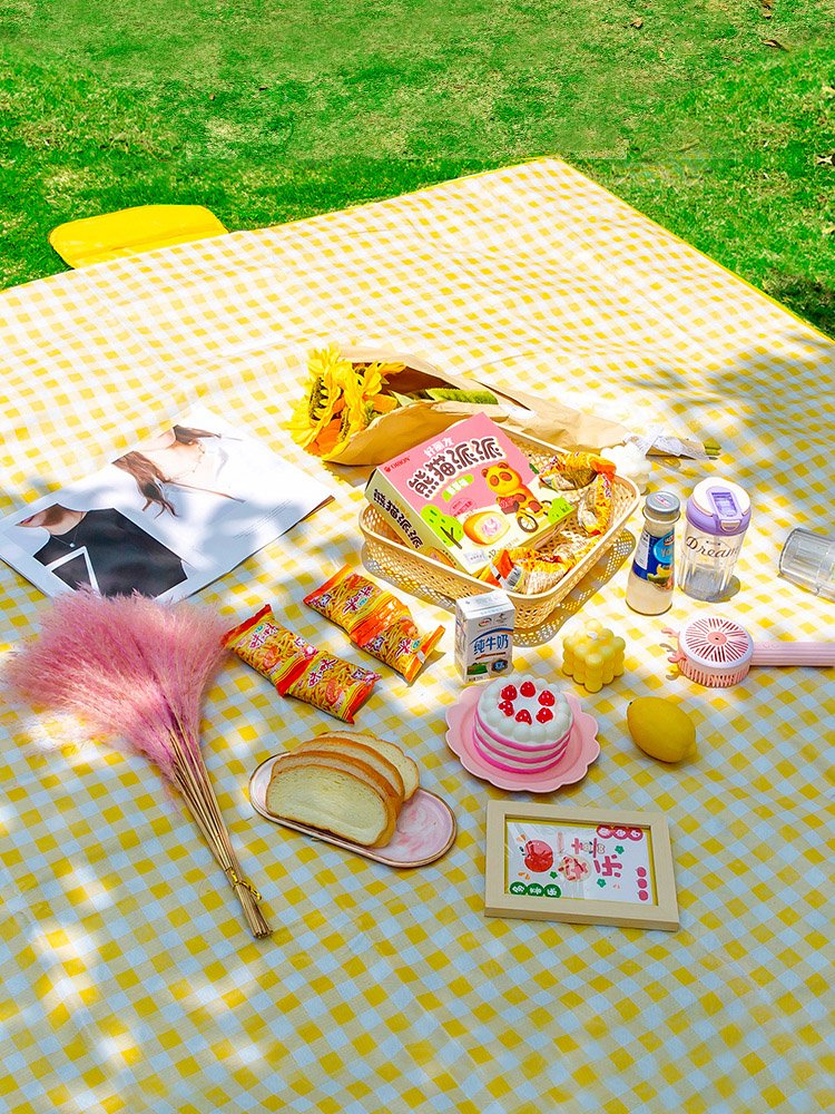 A picnic pad on a damp-proof outdoor camping, with water-resistant and well-boiled beach peri-baskets on the lawn