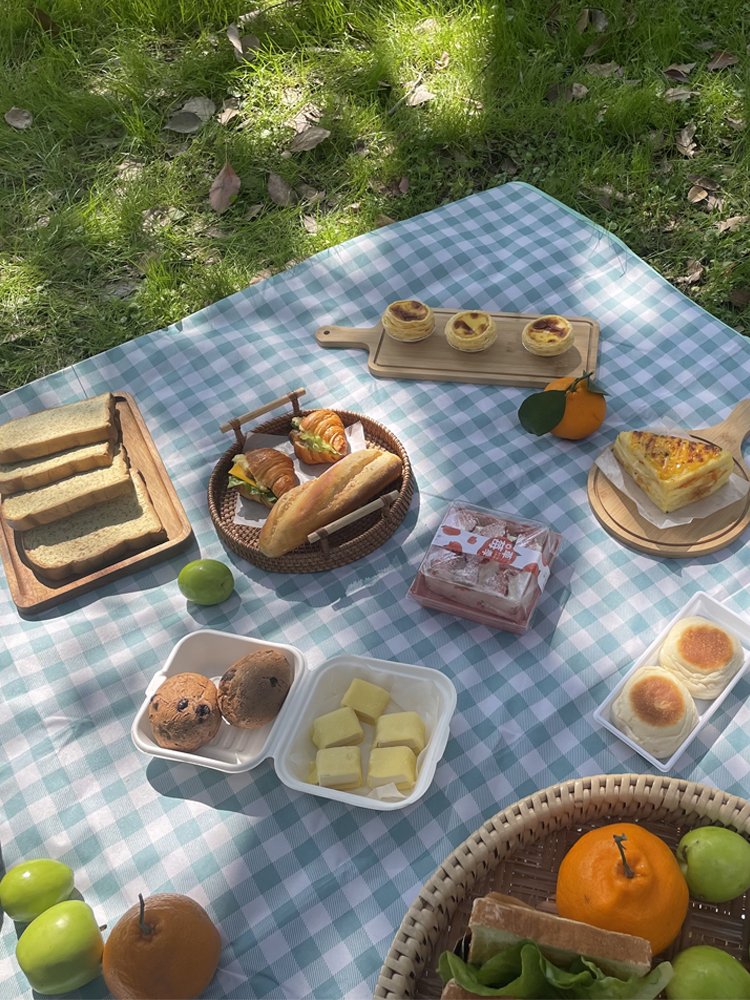 A picnic pad with a thick spring outdoor camping pad and a lawn and beach mattress with water-proof blue