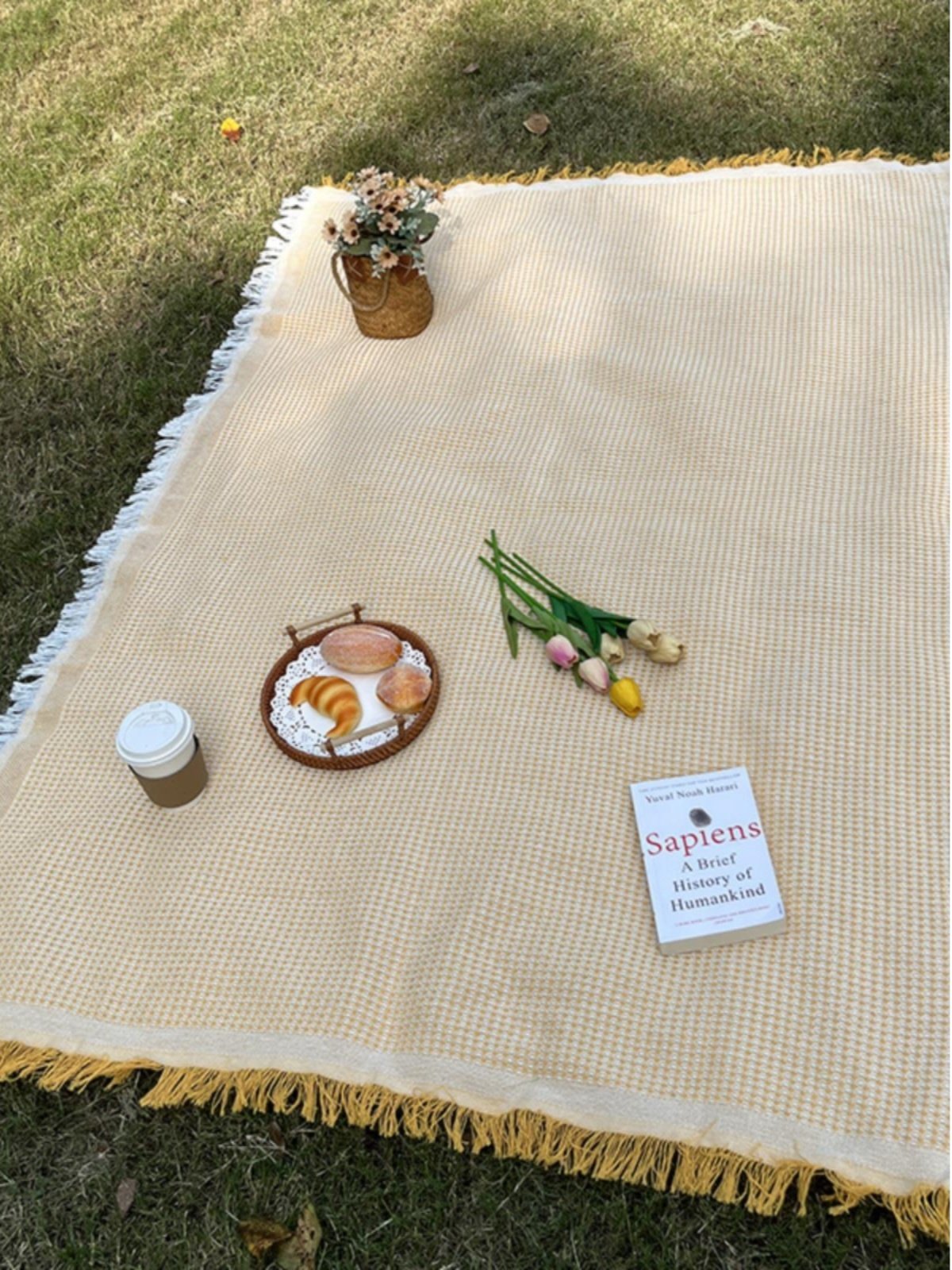 Out-of-the-house picnic mats with French-style and thick-photographed beach mats with white carpets of grass