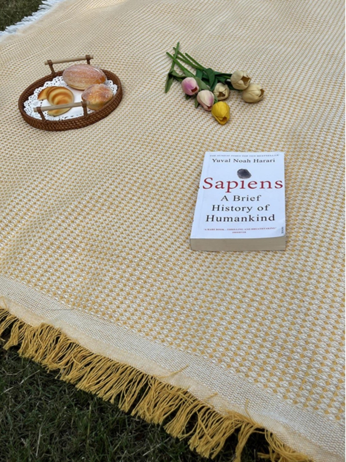 Out-of-the-house picnic mats with French-style and thick-photographed beach mats with white carpets of grass