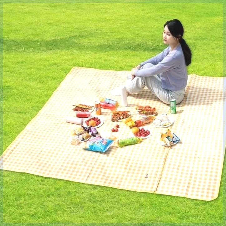 A picnic mat with a thick outdoor picnic camping and water-sitting pad folds with a damp-proof tent