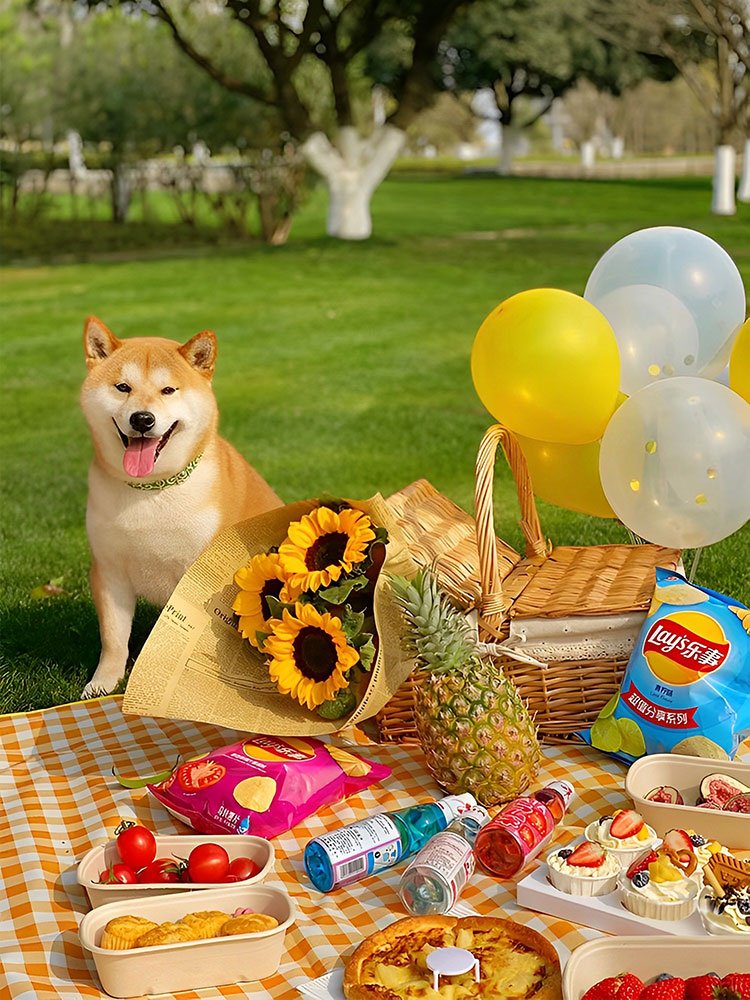 A picnic pad with a hot and thick pad and a beach tent against the lawn