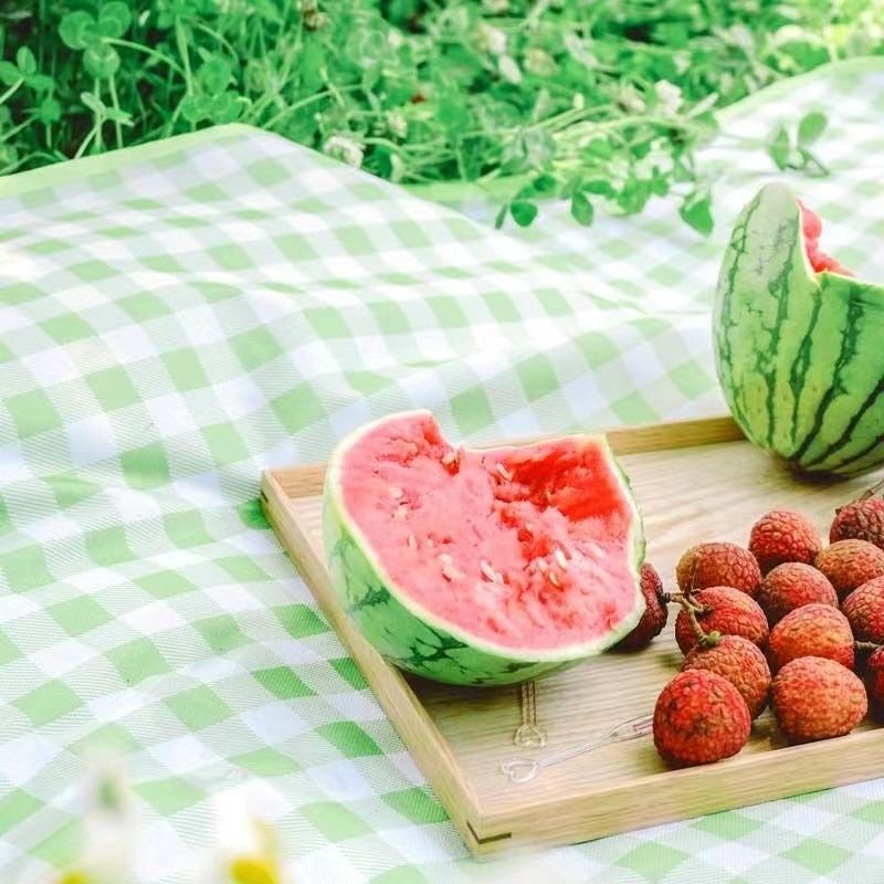 A picnic pad outside of the house, with a spring field pad, a camping mat, a picnic