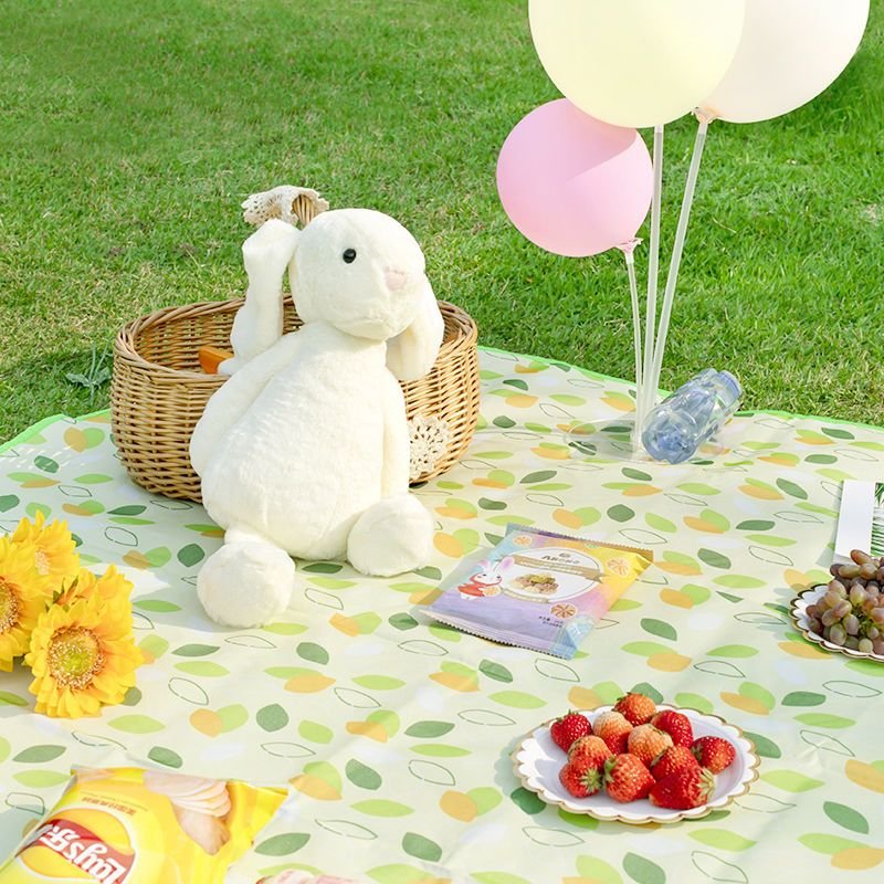 An outdoor picnic mat with a large amount of money for camping on the peri-urban side of the beach, with a seat that can be folded on a tidal pad