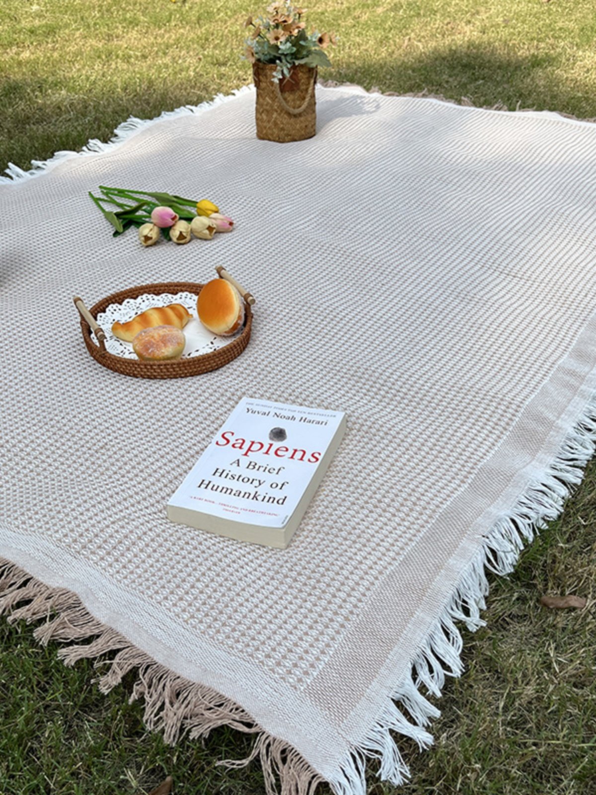 panic mats french arts and crafts, general and two-sided picnic tablecloths, red and photo mats